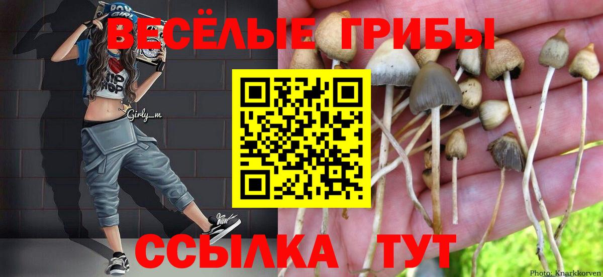 Псилоцибиновые грибы мицелий Самара